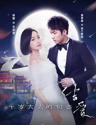 The Love Knot: His Excellency’s First Love OST